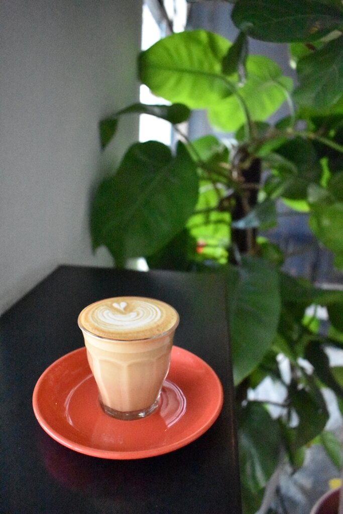 brawn & brains coffee geylang singapore